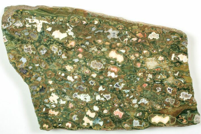 Polished Rainforest Jasper (Rhyolite) Slab - Australia #208183